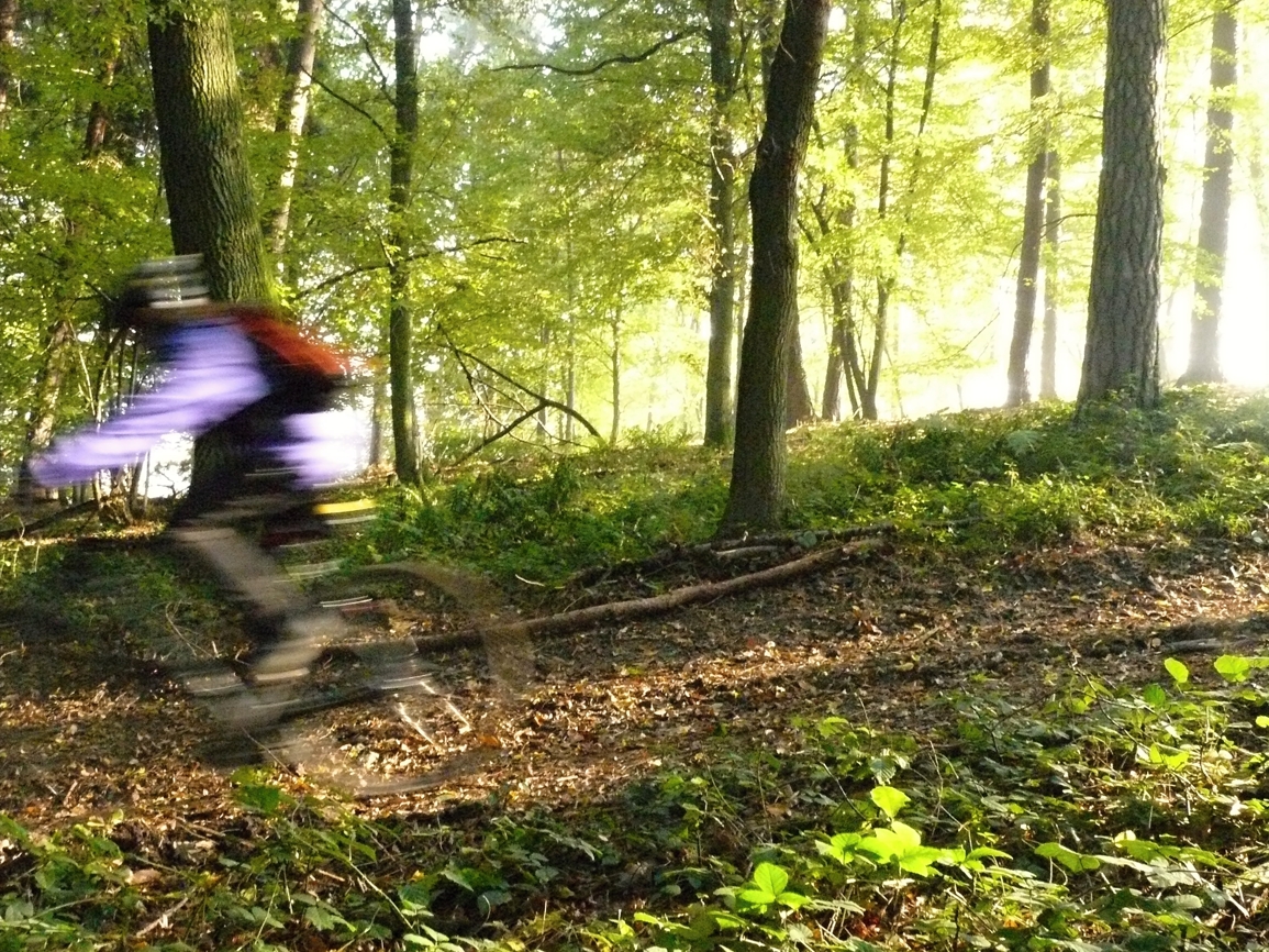 R P PK Brno a Olomouc0009